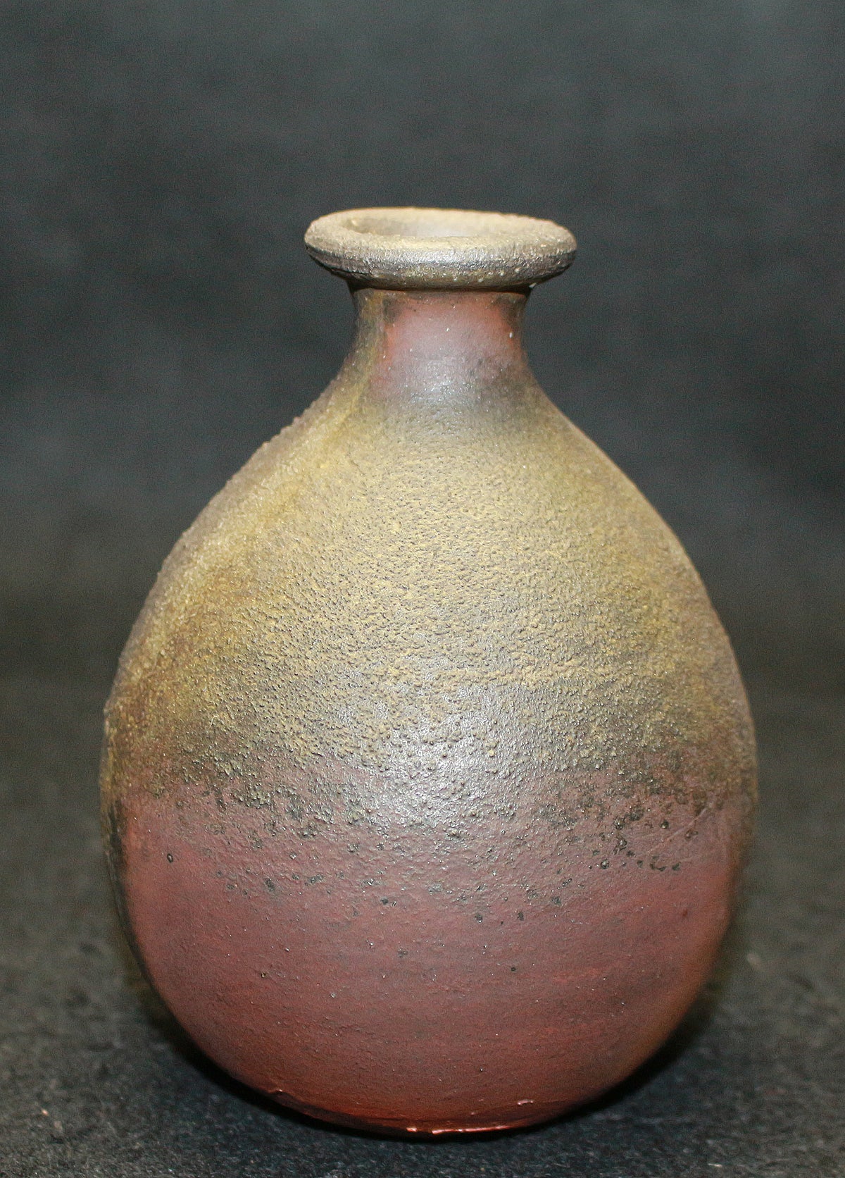 25396 Living National Treasure Fujiwara Yu Bizen Sake Bottle② FUJIWARA Yu 