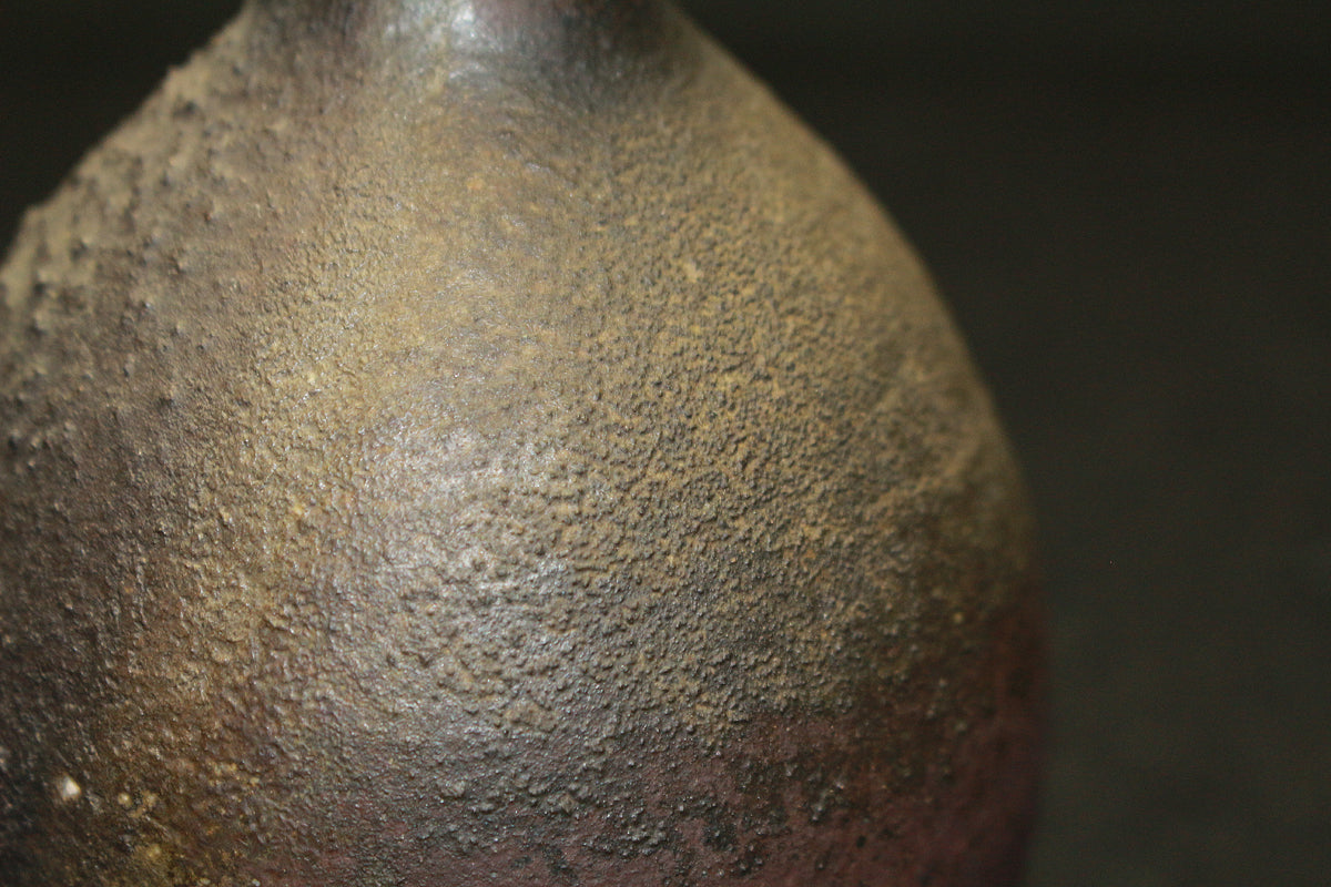 25396 Living National Treasure Fujiwara Yu Bizen Sake Bottle② FUJIWARA Yu 