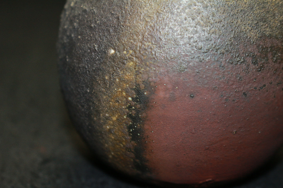 25396 Living National Treasure Fujiwara Yu Bizen Sake Bottle② FUJIWARA Yu 