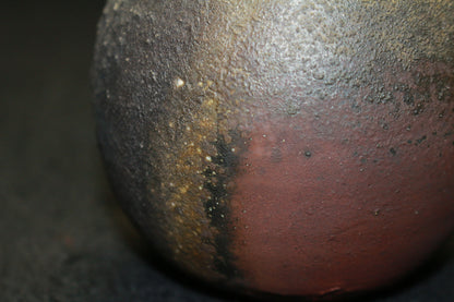 25396 Living National Treasure Fujiwara Yu Bizen Sake Bottle② FUJIWARA Yu 