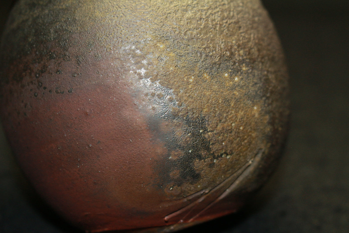 25396 Living National Treasure Fujiwara Yu Bizen Sake Bottle② FUJIWARA Yu 