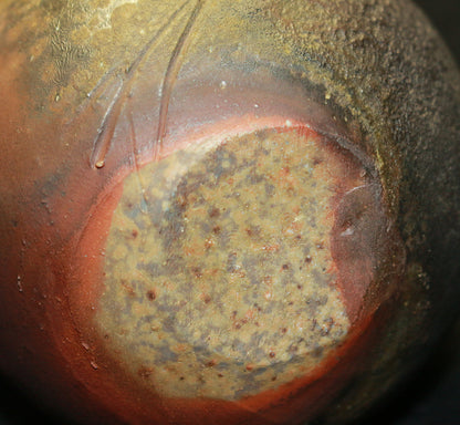 25396 Living National Treasure Fujiwara Yu Bizen Sake Bottle② FUJIWARA Yu 