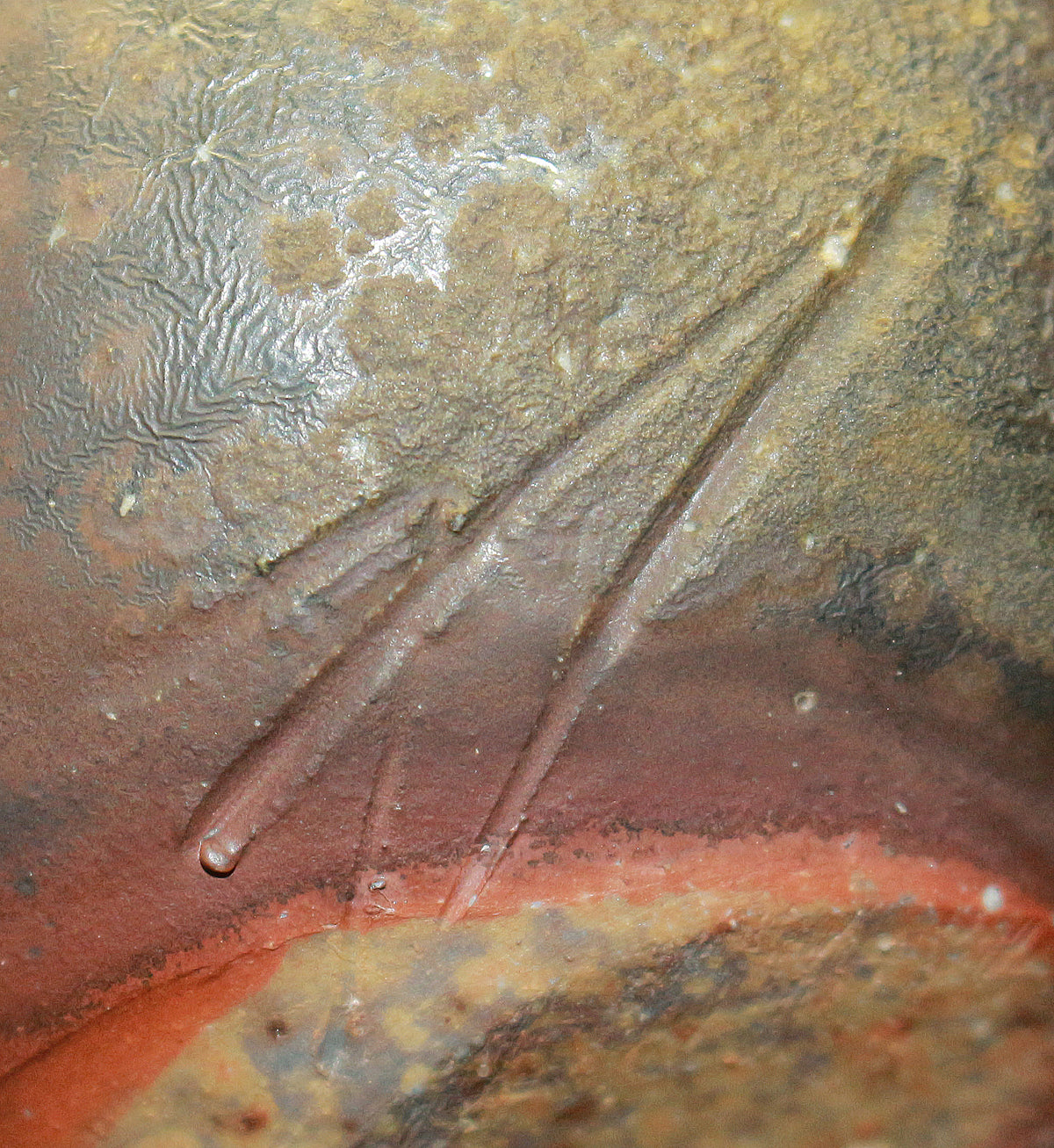 25396 Living National Treasure Fujiwara Yu Bizen Sake Bottle② FUJIWARA Yu 