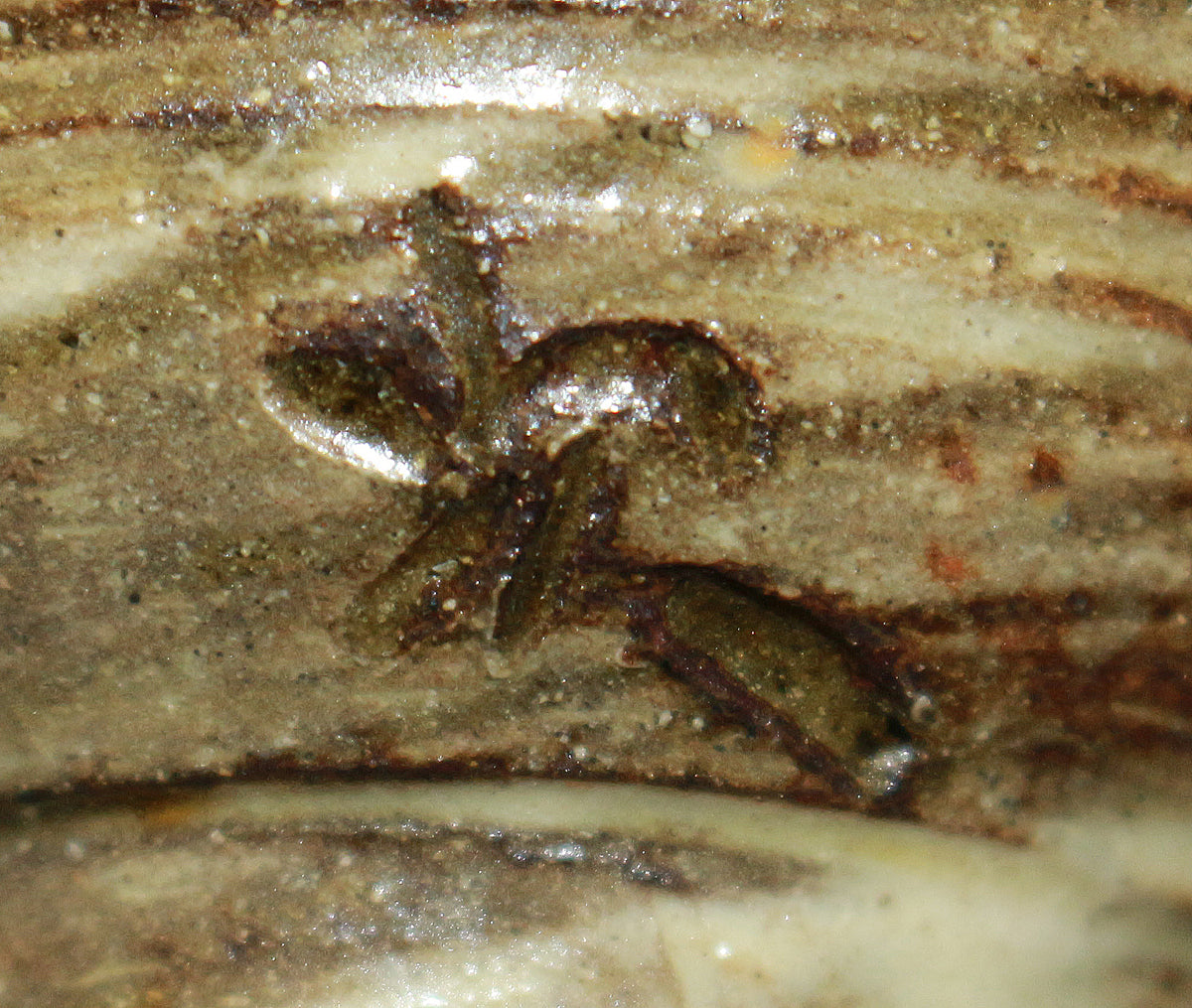 26097 Living National Treasure Jiro Kinjo Sake Cup (Fish Design) 