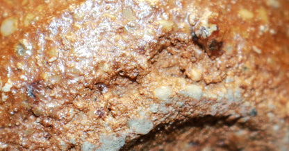 26098 Nakagawa Jinenbo Korean Karatsu sake cup 