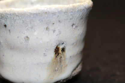 26099	中川自然坊	斑唐津ぐい呑    NAKAGAWA Jinenbo