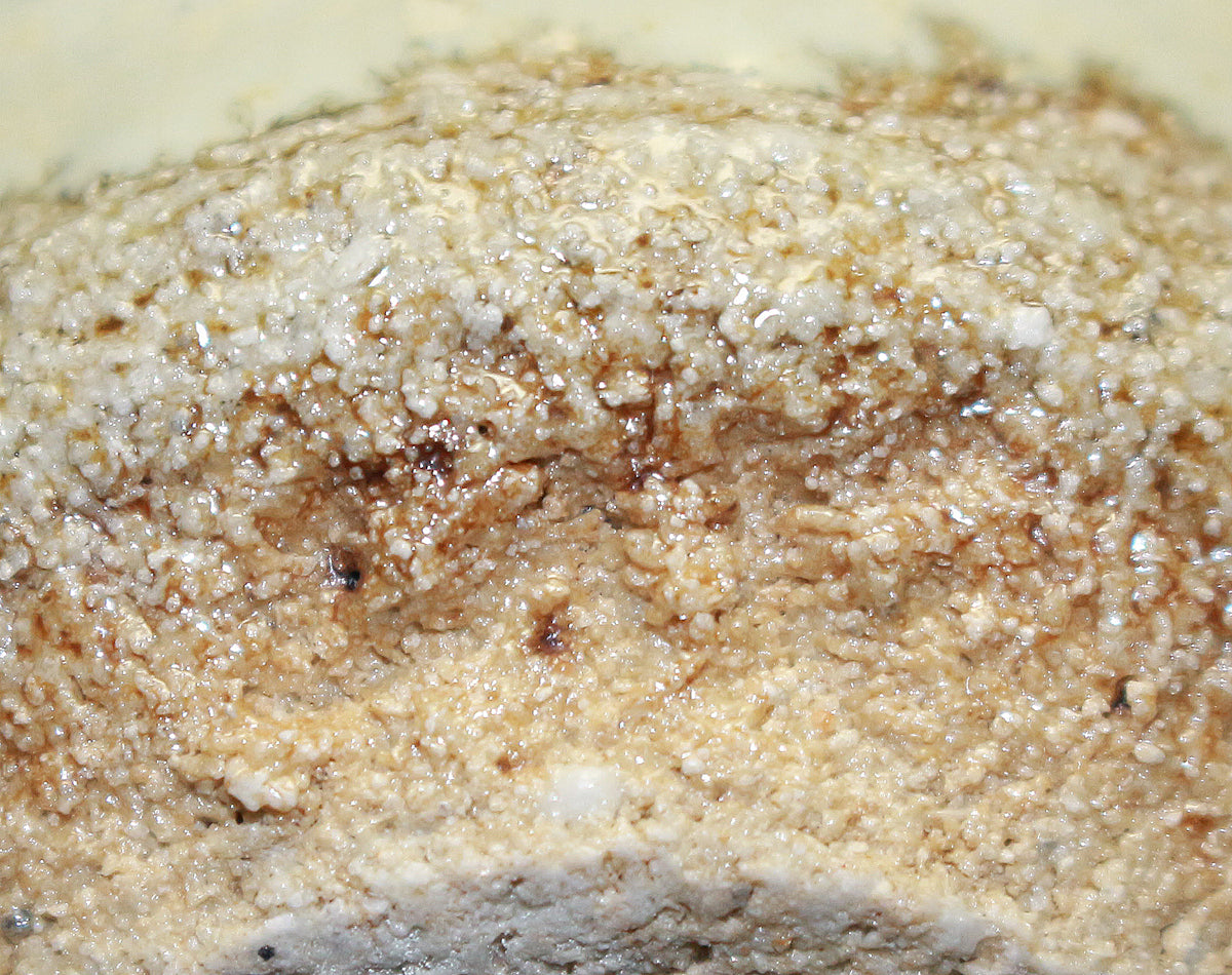 26099	中川自然坊	斑唐津ぐい呑    NAKAGAWA Jinenbo