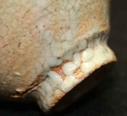 26103   細川護熙	井戸ぐい呑　HOSAKOWA  Morihiro