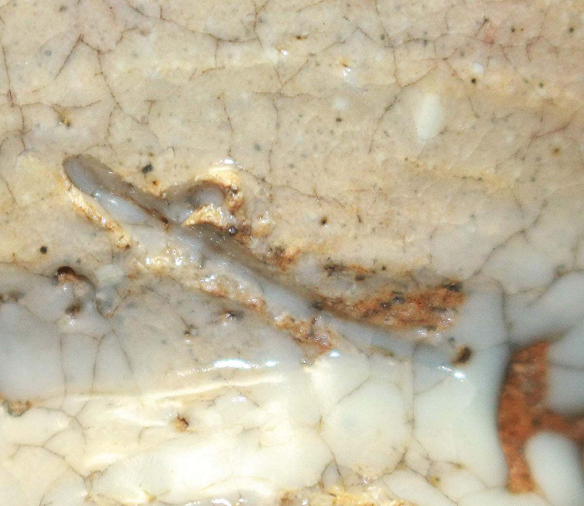 26103   細川護熙	井戸ぐい呑　HOSAKOWA  Morihiro