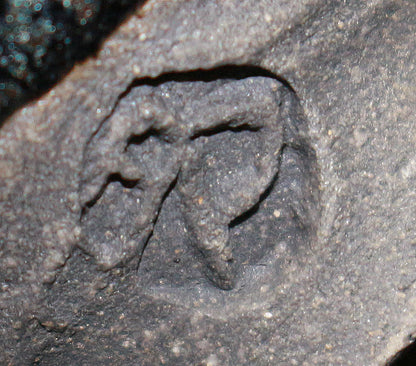 26110　人間国宝　清水卯一	　蓬莱燿盃　　SHIMIZU　Uichi