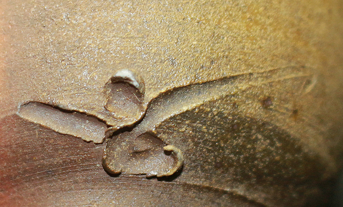 26112　人間国宝　藤原啓	備前酒杯②　　FUJIWARA　Kei