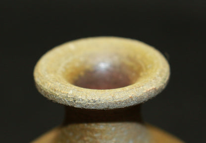 26117 Living National Treasure Fujiwara Kei Bizen Sake Bottle FUJIWARA Kei 