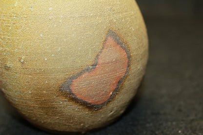 26117 Living National Treasure Fujiwara Kei Bizen Sake Bottle FUJIWARA Kei 