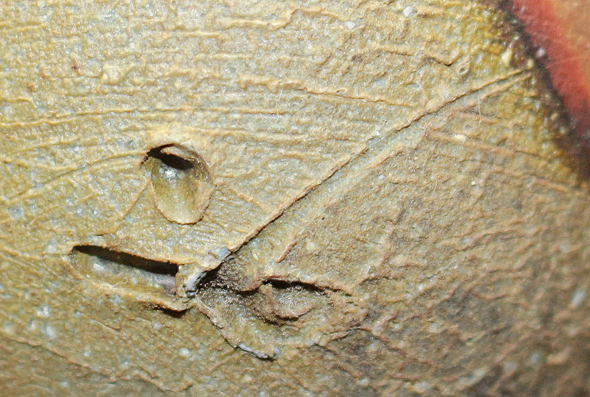 26117 Living National Treasure Fujiwara Kei Bizen Sake Bottle FUJIWARA Kei 