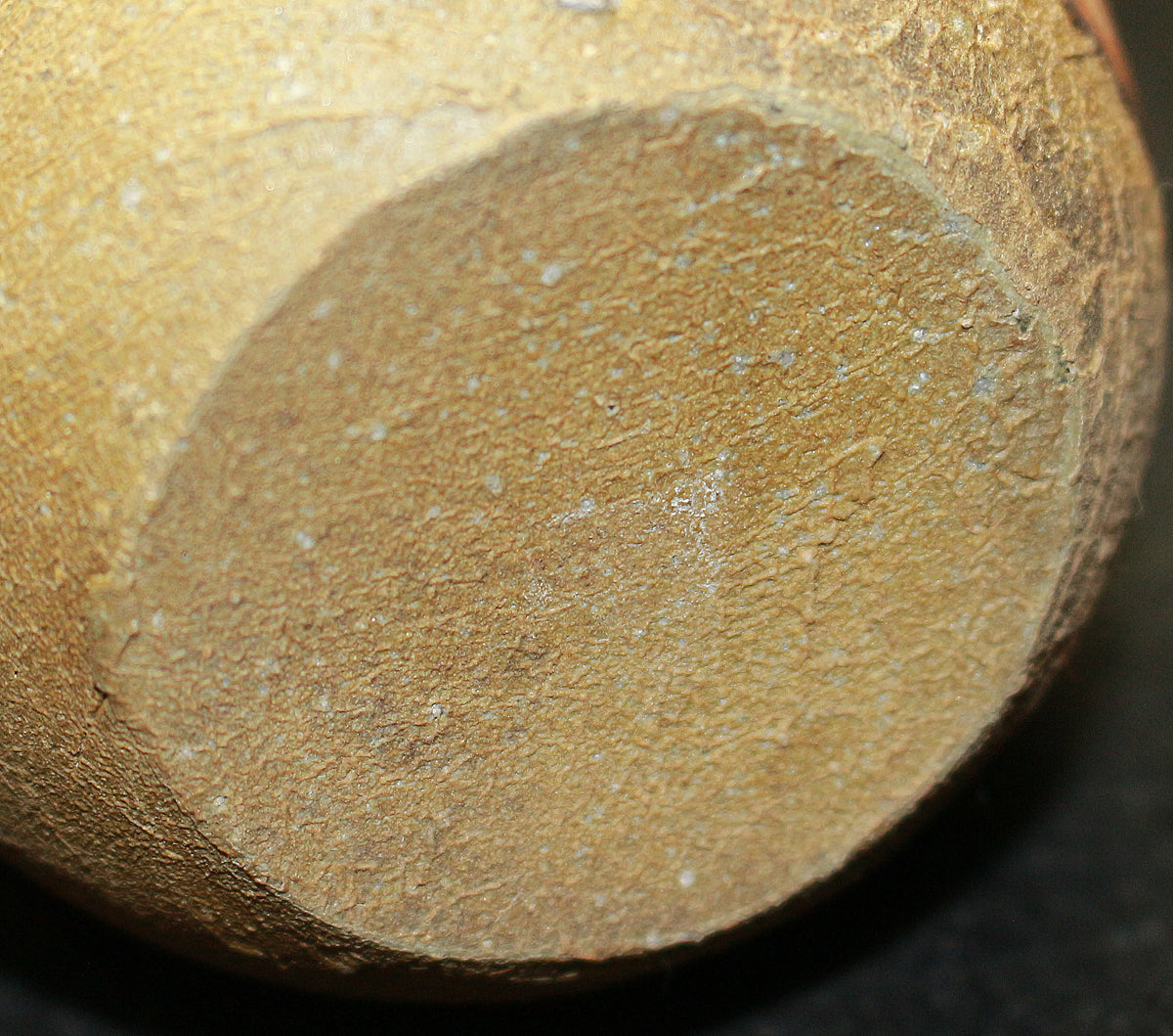 26117 Living National Treasure Fujiwara Kei Bizen Sake Bottle FUJIWARA Kei 