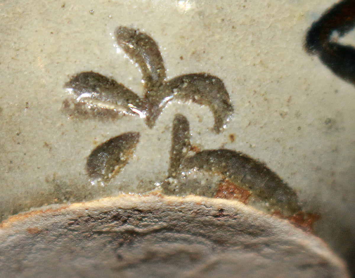 26116	人間国宝　金城次郎　小壷（魚文）　KINJYO Jiro