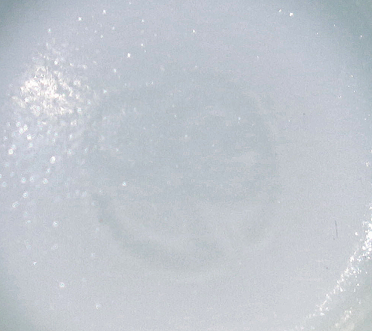 26120 人間国宝 前田昭博 白磁面取盃 MAEDA Akihiro – アート飛田